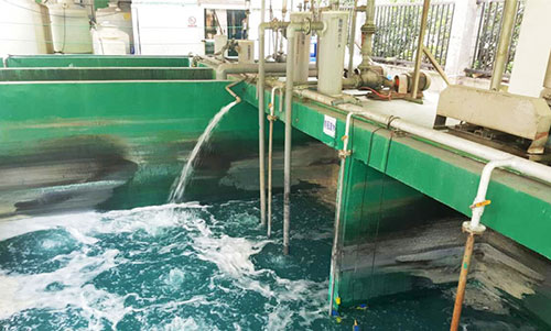 ����̿ˮ̎��Ч��